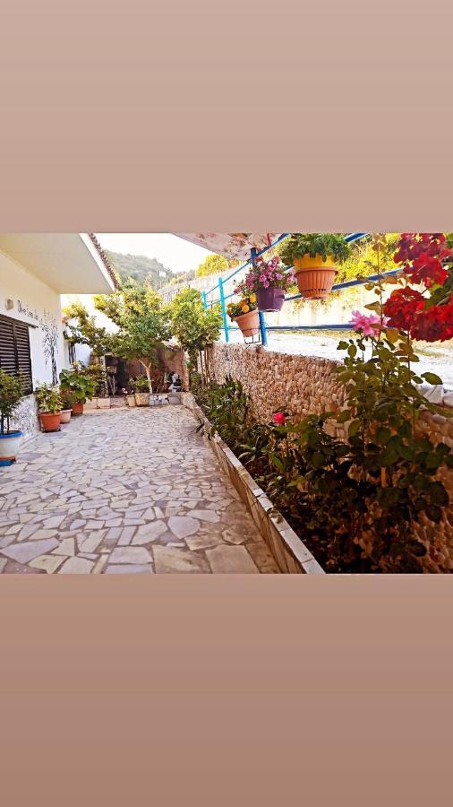Olive Tree Villa Lygia  Dış mekan fotoğraf