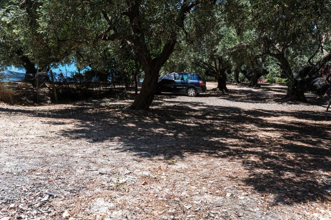 Olive Tree Villa Lygia  Dış mekan fotoğraf