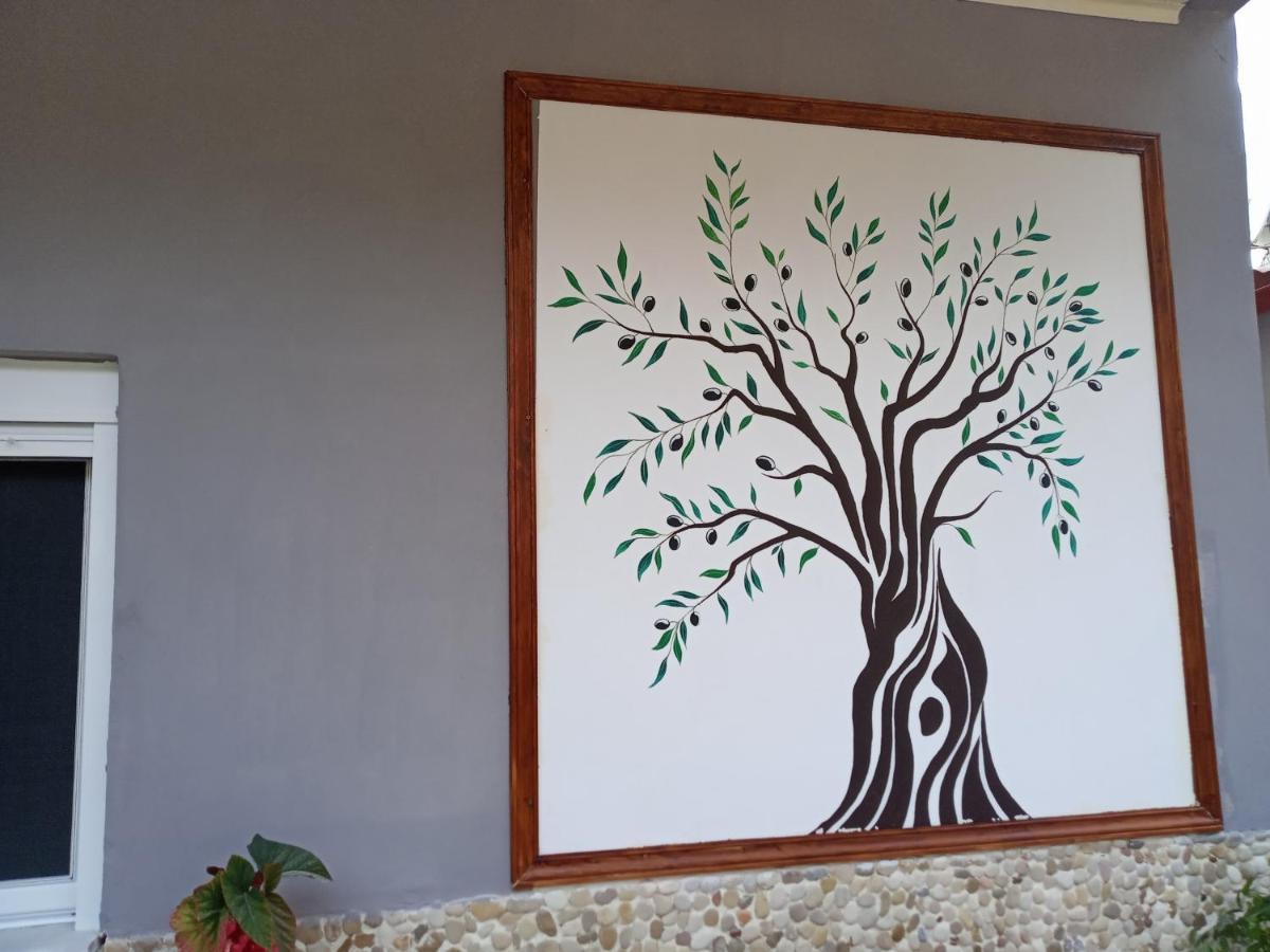 Olive Tree Villa Lygia  Dış mekan fotoğraf